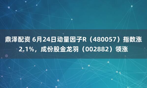 鼎泽配资 6月24日动量因子R（480057）指数涨2.1%，成份股金龙羽（002882）领涨