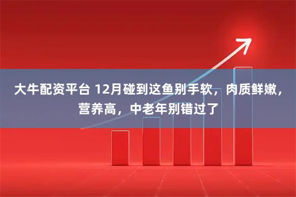 大牛配资平台 12月碰到这鱼别手软,肉质鲜嫩,营养高,中老年别错过了