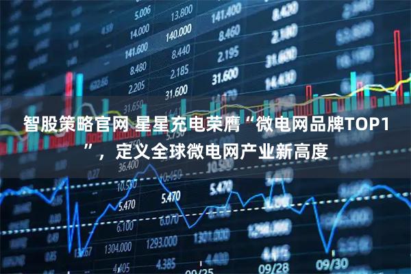 智股策略官网 星星充电荣膺“微电网品牌TOP1”，定义全球微电网产业新高度